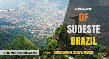 Exploring Brazil's Capital: Is Brasília Part of Sudeste Brazil?