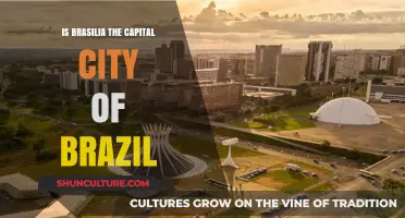 Exploring Brazil's Heart: Is Brasilia Truly the Capital City?