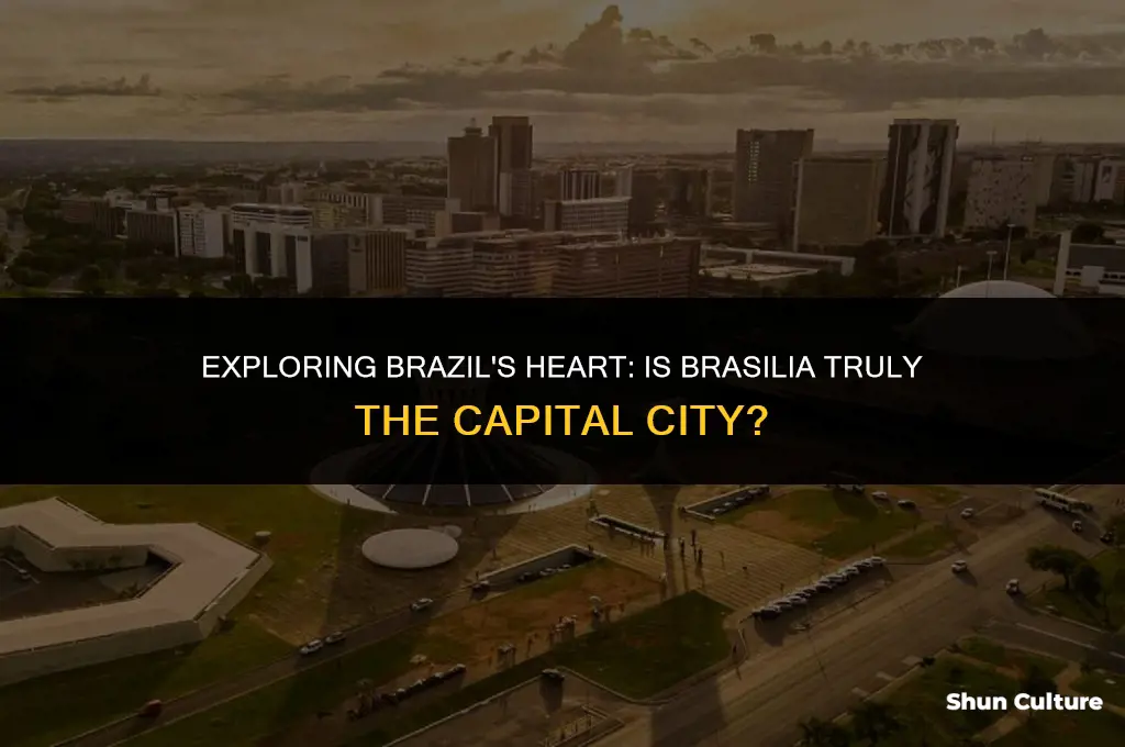 is brasilia the capital city of brazil