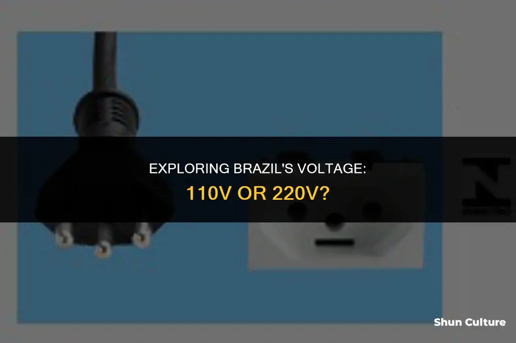 is brazil 110 or 220