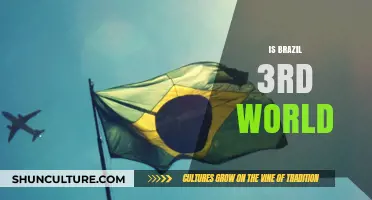 Is Brazil a Third World Country? Exploring Economic and Social Realities
