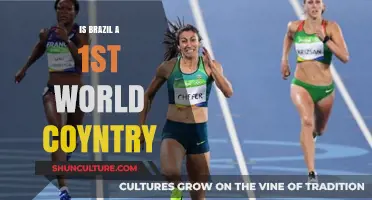 Is Brazil a First World Country? Exploring Its Global Standing