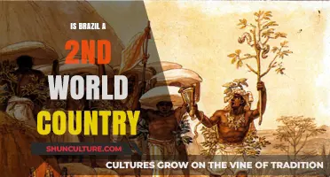 Brazil's Economic Standing: Debunking the Second World Country Myth
