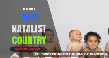 Brazil's Declining Birth Rates: Anti-Natalism or Societal Shift?