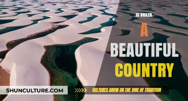 Brazil's Beauty: Exploring Its Stunning Landscapes and Vibrant Culture