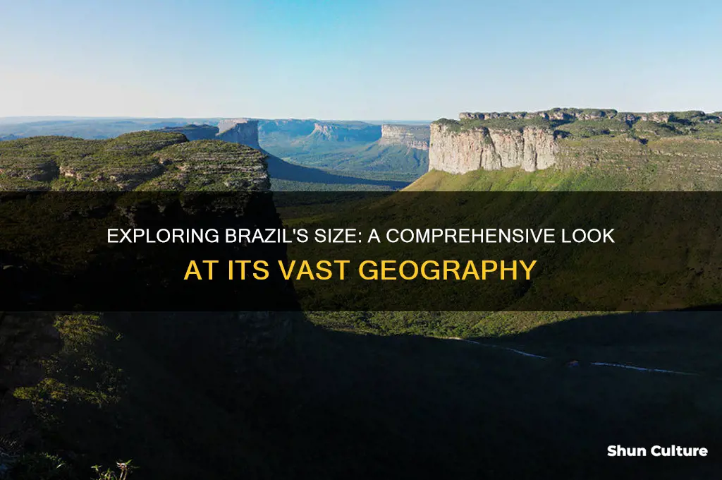 is brazil a big country