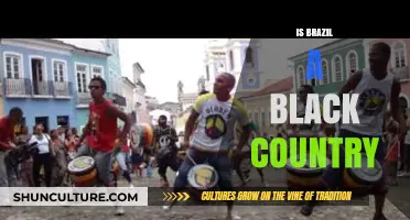 Is Brazil a Black Country? Exploring Race, Identity, and Culture
