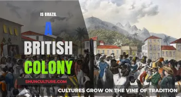 Was Brazil Ever a British Colony? Unraveling Historical Myths