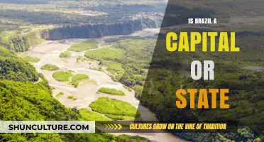Exploring Brazil's Status: Capital, State, or Something More?