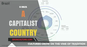 Is Brazil Capitalist? Exploring Its Economic System and Policies