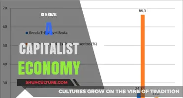 Exploring Brazil's Economic System: A Capitalist Analysis
