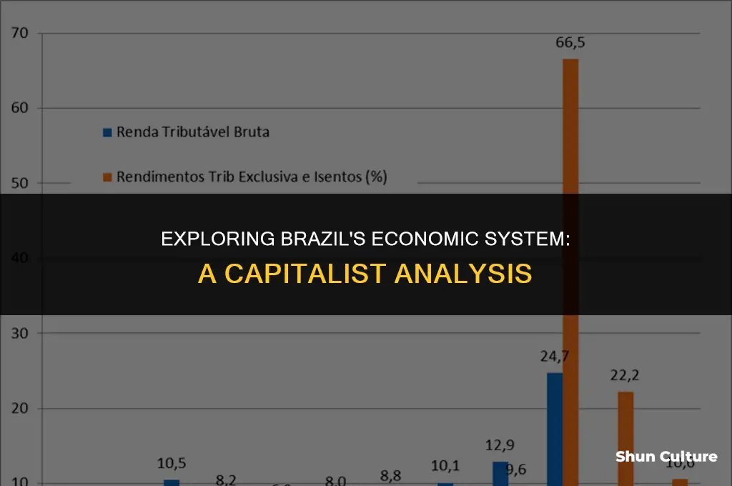 is brazil a capitalist economy