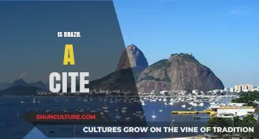 Exploring Brazil's Urban Landscape: A City or Not?