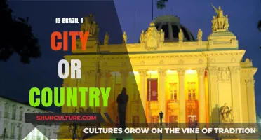 Brazil: Unraveling the Confusion Between City and Country Status