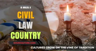 Is Brazil a Civil Law Country? Exploring Its Legal System