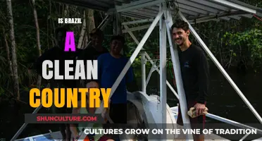 Is Brazil a Clean Country? Exploring Its Environmental Efforts and Challenges