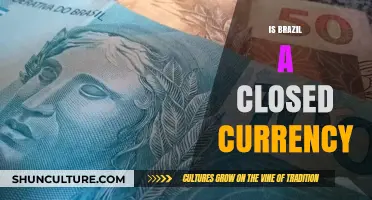 Exploring Brazil's Economic Landscape: Is It a Closed Currency?