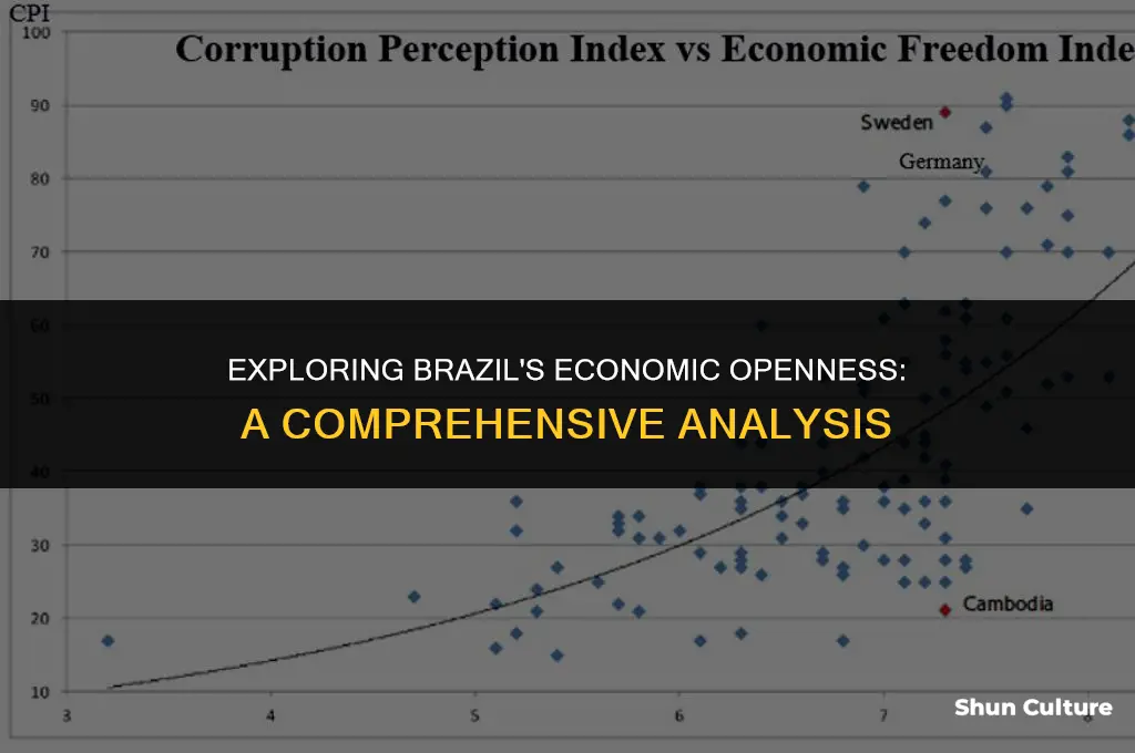 is brazil a closed economy