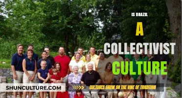 Exploring Brazil's Cultural Identity: Collectivism or Individualism?