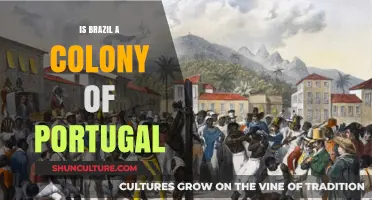 Was Brazil Ever Truly Independent from Portugal?