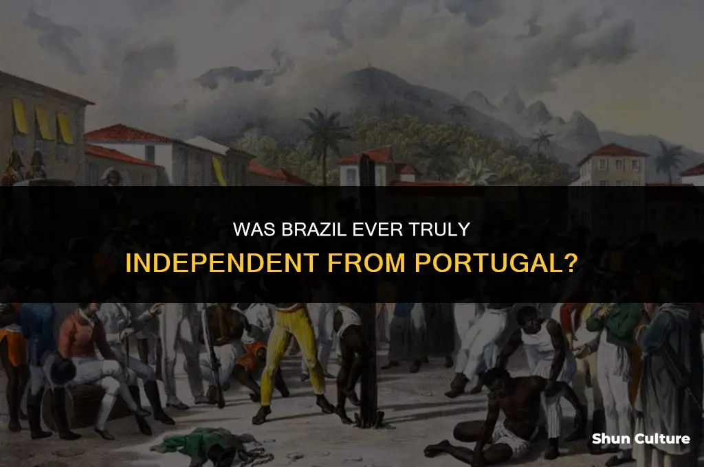 is brazil a colony of portugal