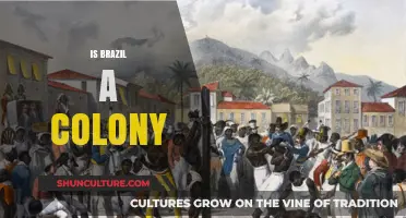 Was Brazil Ever a Colony? Unraveling the Historical Threads