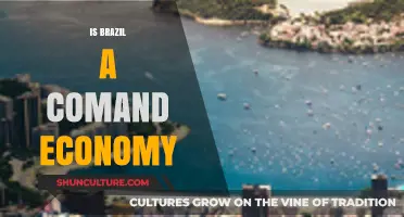 Exploring Brazil's Economic Structure: Command Economy or Not?