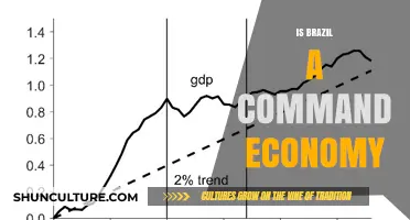 Exploring Brazil's Economic Structure: Command Economy or Not?