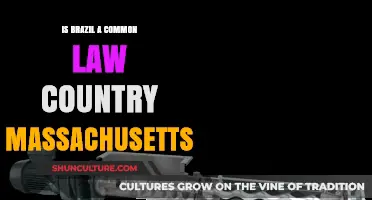 Brazil vs. Massachusetts: Common Law or Civil Law System?