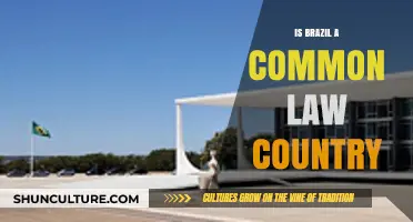 Is Brazil a Common Law Country? Exploring Its Legal System