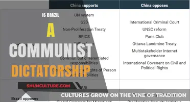 Exploring Brazil's Political Landscape: Dictatorship or Democracy?