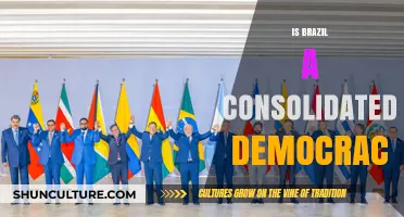 Brazil's Democratic Consolidation: Progress, Challenges, and Prospects