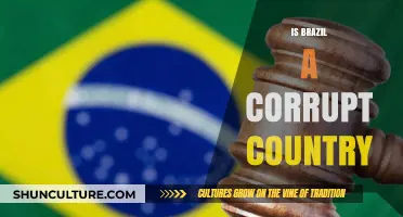 Brazil's Corruption: Unveiling Truths, Myths, and the Path to Transparency