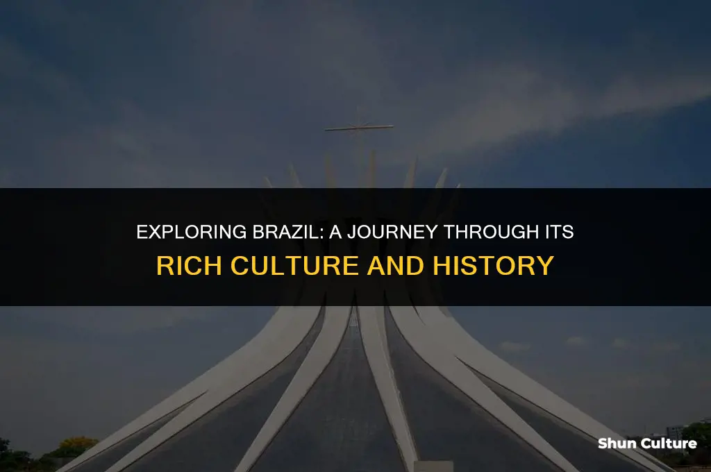 is brazil a counrty