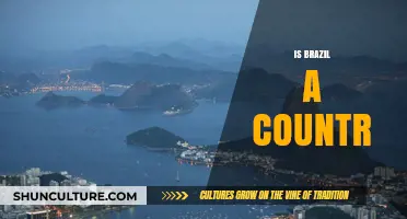 Exploring Brazil: A Deep Dive into Its Country Status and Global Impact