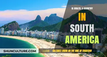 Is Brazil in South America? Exploring Its Geography and Culture