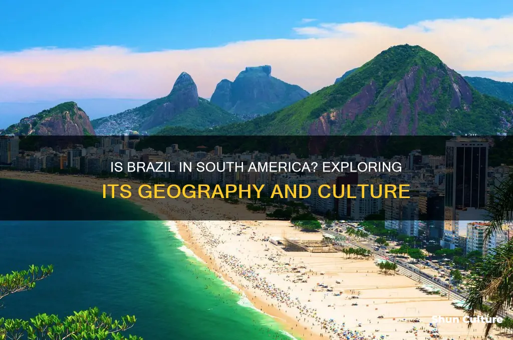 is brazil a country in south america