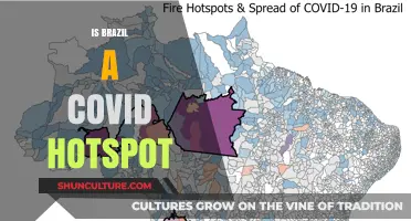 Brazil's COVID-19 Surge: Understanding the Current Situation