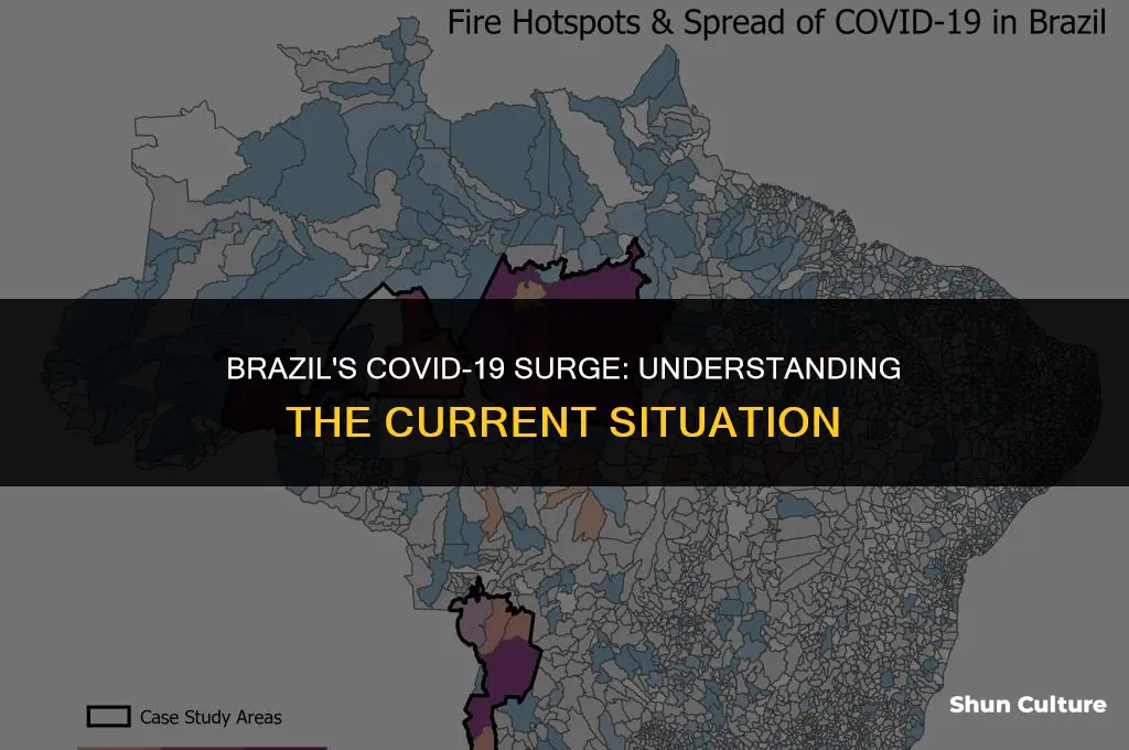 is brazil a covid hotspot