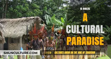 Exploring Brazil: A Journey Through Cultural Richness and Diversity