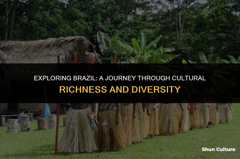 is brazil a cultural paradise