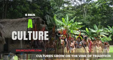 Exploring the Rich Tapestry: Is Brazil a Culture?