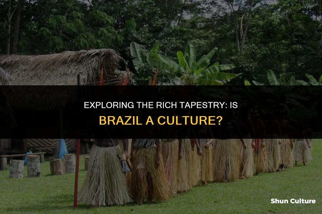 is brazil a culture