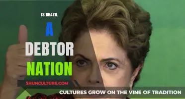 Brazil's Debt Dilemma: A Nation Grapples with Financial Obligations