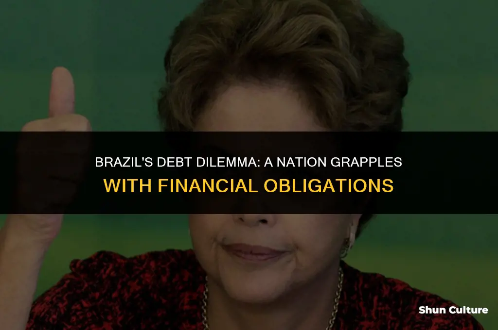 is brazil a debtor nation