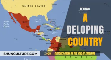 Is Brazil a Developing Country? Exploring Its Economic and Social Growth