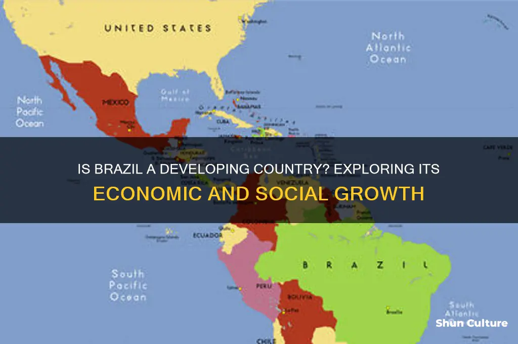 is brazil a deloping country