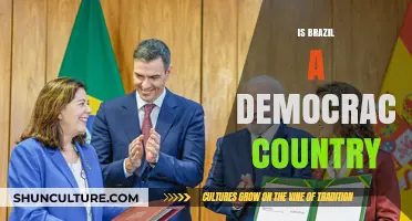 Is Brazil a Democracy? Exploring Its Political System and Governance