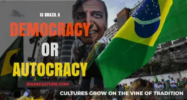 Brazil's Political Landscape: Democracy or Autocracy?