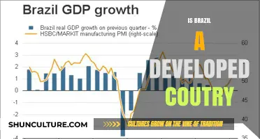 Exploring Brazil's Economic Status: Developed or Developing?